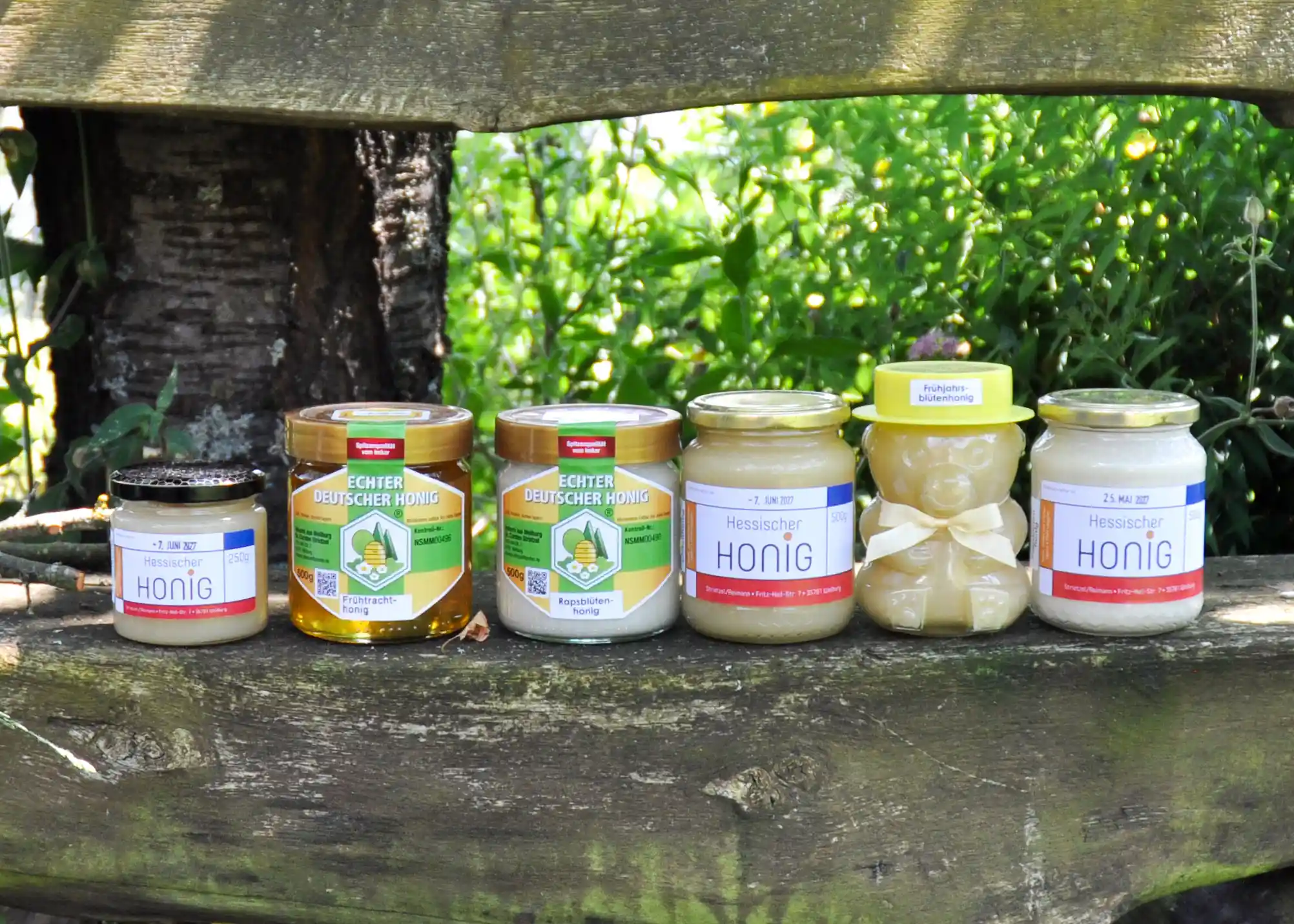 Verschieden Honigsorten in Gläsern abgefüllt von Imkerei Engelgraben