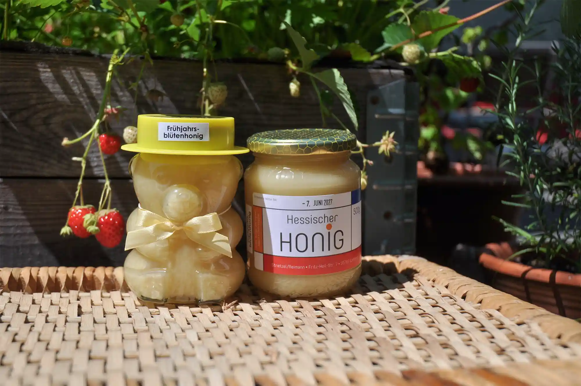 Frühjahrsblütenhonig in verschiedenen Gläsern abgefüllt von Imkerei Engelgraben