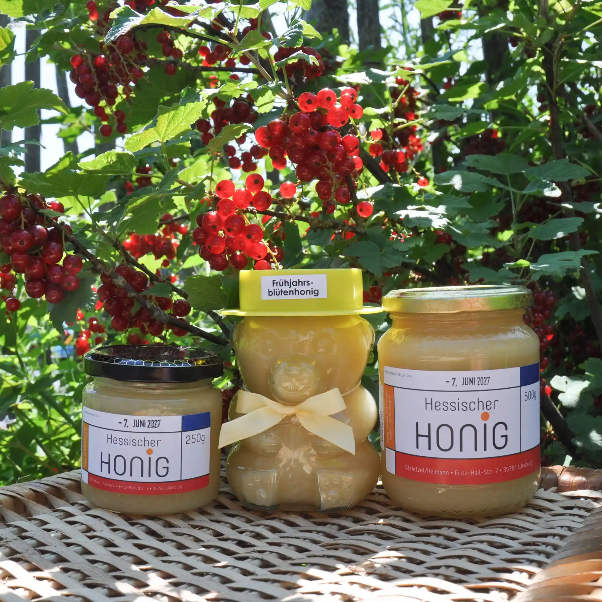 Honig in verschiedenen Gläsern abgefüllt von Imkerei Engelgraben